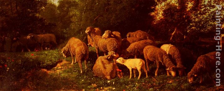 Les Moutons Dans Le Sous-Bois